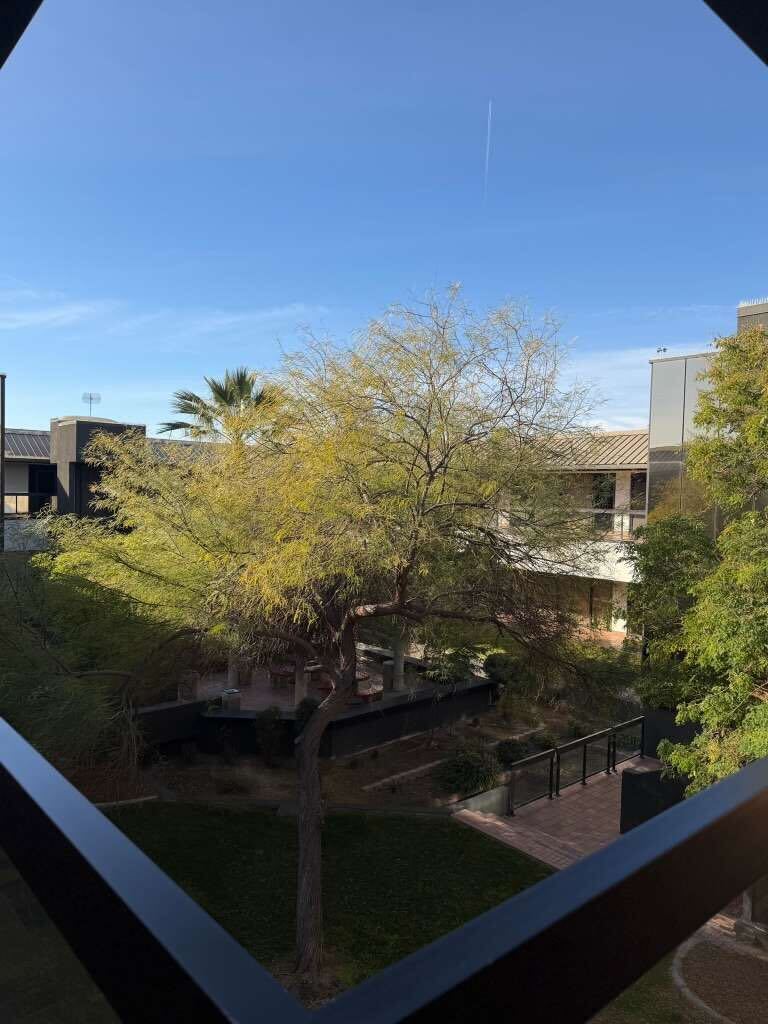 Courtyard from Above